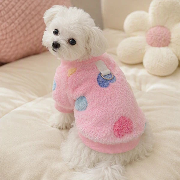 🐶 Half-price offer today only! 🔥 Dog vest with built-in leash — warm and easy to put on.