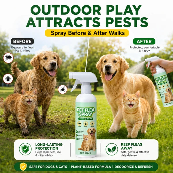 🥳Top Recommendation🥳Buy 1 Get 1 Free for a Limited Time🥳Pet Flea Spray - Plant-Based Formula! 🛡️💨