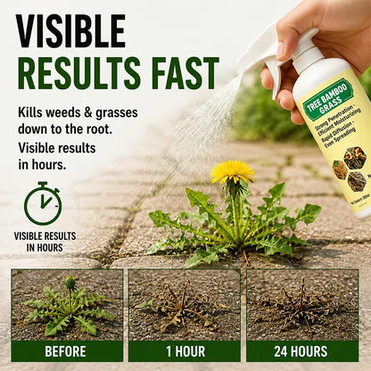 🔥🔥2026 SALE -300ml!!!- Fast-Acting Natural Weed & Grass Killer Spray
